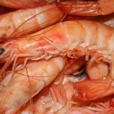 Креветки северные